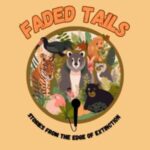 Faded Tails